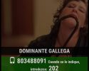 Imagen miniatura para la imagen principal del anuncio