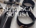 Imagen miniatura para la imagen principal del anuncio